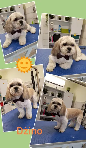 Salon Pielęgnacji Zwierząt